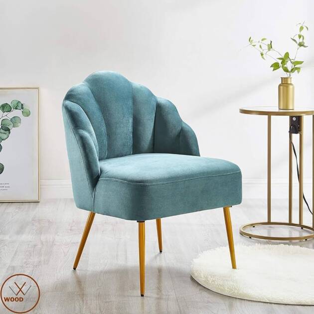 Premium Blue chair